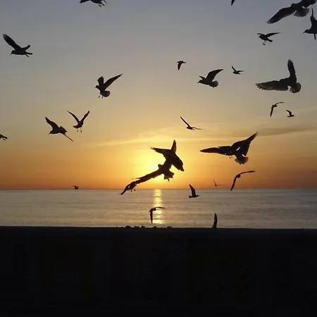 Bay * Copanello